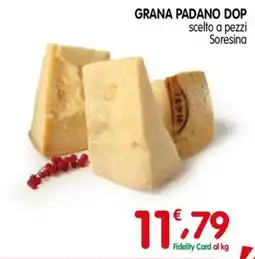 D'Ambros Grana Padano DOP scelto a pezzi Soresina offerta