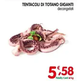 D'Ambros Tentacoli di totano giganti offerta