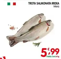 D'Ambros Trota salmonata iridea intera offerta