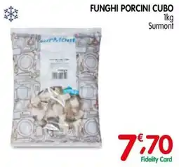 D'Ambros Funghi porcini cubo Surmont offerta