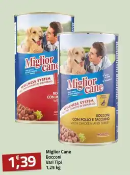 Supermercati Briò Miglior Cane Bocconi offerta