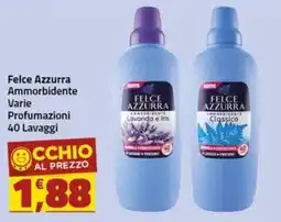 Supermercati Briò Felce Azzurra Ammorbidente offerta