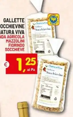 Centro Commerciale Discount Gallette Socchievine Natura Viva offerta