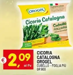 Centro Commerciale Discount Cicoria Catalogna Orogel offerta