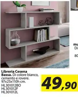 Hobby e Legno Libreria Cesena Bassa offerta