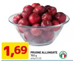 DPiù Prugne allungate offerta