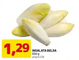 DPiù Insalata belga offerta