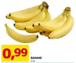 DPiù Banane offerta