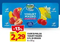 DPiù Cuor di Malga Yogurt Magro offerta