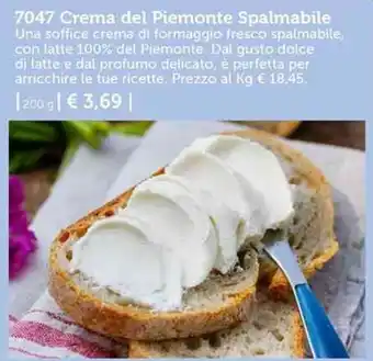 7047 Crema del Piemonte Spalmabile