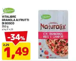 DPiù Vitalibre Granola ai frutti di bosco offerta