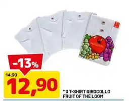 DPiù T-shirt girocollo Fruit of the Loom offerta