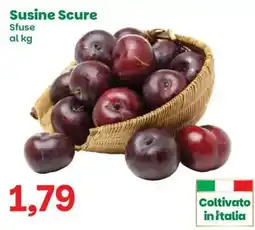 Prix Quality Susine Scure offerta
