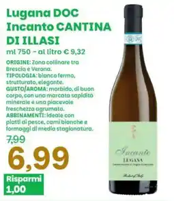 Prix Quality Lugana DOC Incanto CANTINA DI ILLASI offerta
