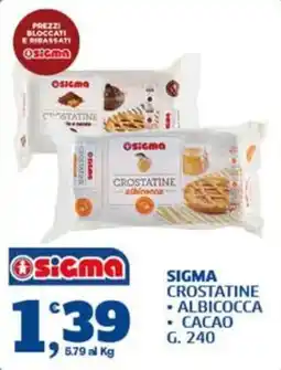 Ok Sigma Sigma crostatine albicocca cacao offerta