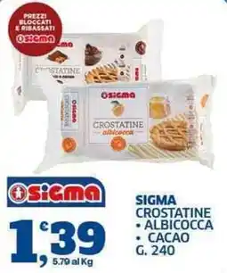Sigma Sigma crostatine albicocca cacao offerta