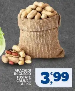 Ok Sigma Arachidi in guscio tostate offerta