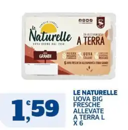 Ok Sigma Le Naturelle uova big fresche offerta