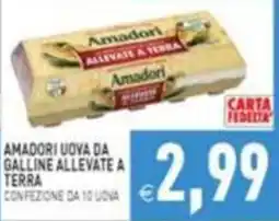 Supermercati Agorà Amadori uova da galline allevate a terra offerta