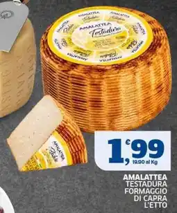 Sigma Amalattea Testadura Formaggio di Capra offerta