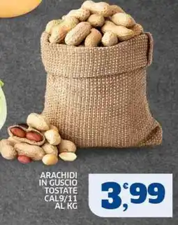 Sigma Arachidi in guscio tostate offerta
