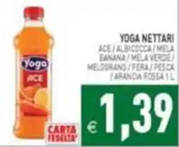 Supermercati Agorà Yoga Nettari Ace offerta