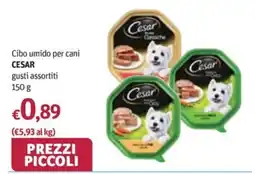 Futura Supermercati Cibo umido per cani CESAR gusti assortiti offerta