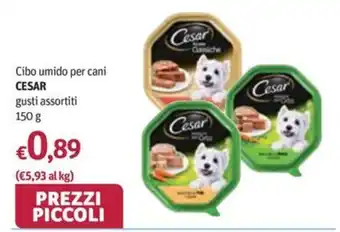 Cibo umido per cani CESAR gusti assortiti