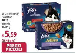 Futura Supermercati Felix Le Ghiottonerie offerta