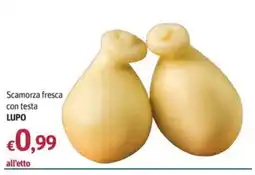 Futura Supermercati Scamorza fresca con testa LUPO offerta