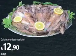 Futura Supermercati Calamaro decongelato offerta