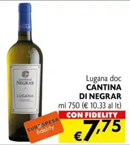 Eurospesa Lugana doc Cantina di Negrar offerta