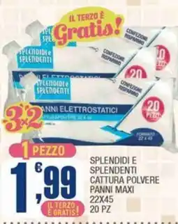 Splendidi e Splendenti Splendidi e Splendenti cattura polvere panni maxi offerta