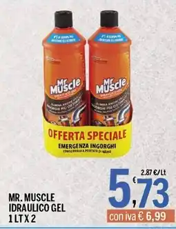 Gruppo Pascar Mr Muscle idraulico gel offerta