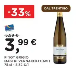 Poli Pinot Grigio Mastro Vernacoli Cavit offerta