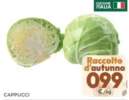 Poli Cappucci offerta