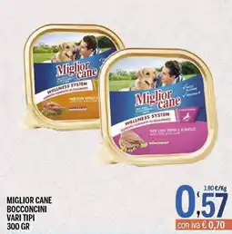 Gruppo Pascar Miglior cane bocconcini offerta