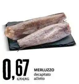 PRO7 Supermercati Merluzzo decapitato offerta