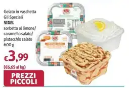 Futura Supermercati Gelato in vaschetta Gli Speciali SIGEL offerta