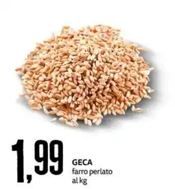 PRO7 Supermercati GECA farro perlato offerta