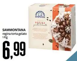 PRO7 Supermercati Sammontana regina torta gelato offerta