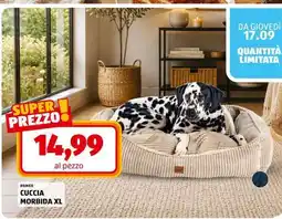 ALDI ROMEO offerta