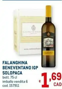 Metro Falanghina beneventano igp offerta