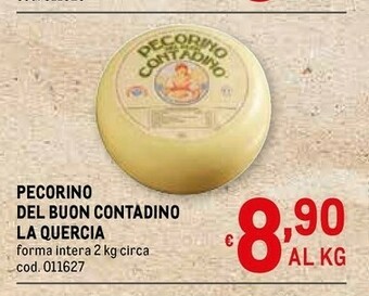Metro Pecorino offerta