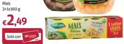 Futura Supermercati Valfrutta Mais offerta