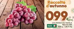 Orvea Uva Rossa da Tavola Red Globe offerta