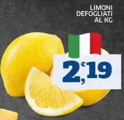 Sigma Limoni Defogliati offerta