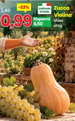 Prix Quality Zucca Violina offerta