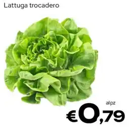 MAX Supermercati Lattuga trocadero offerta