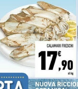 Conad Calamari freschi offerta